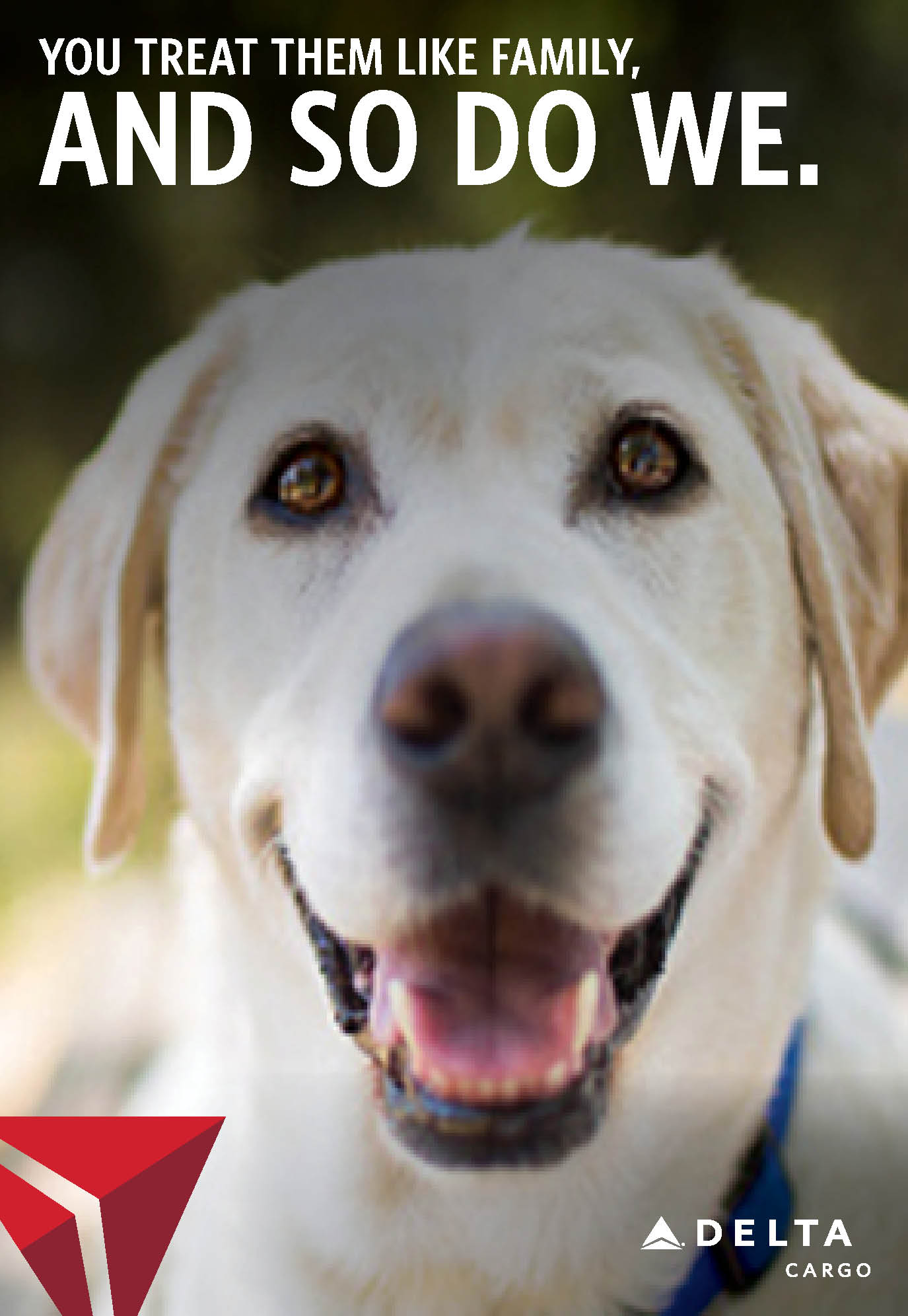 Pets Delta Cargo